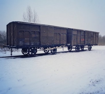 26 lutego 2022 roku przypada 79. rocznica pierwszego transportu deportacyjnego Romw do KL Auschwitz-Birkenau. 